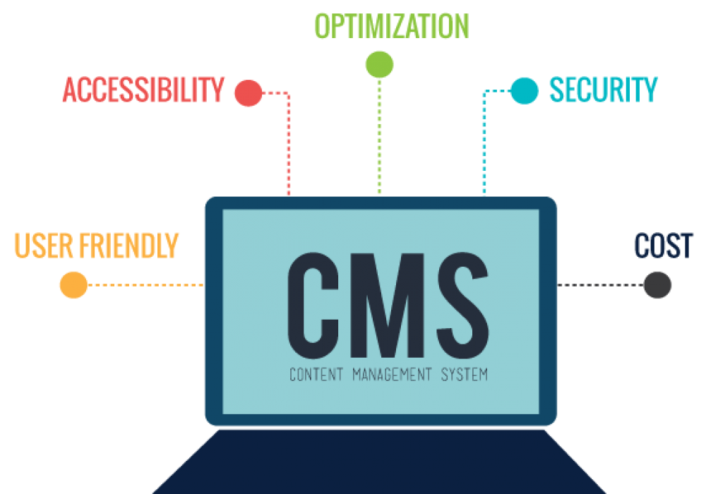 What is a Video Content Management System?